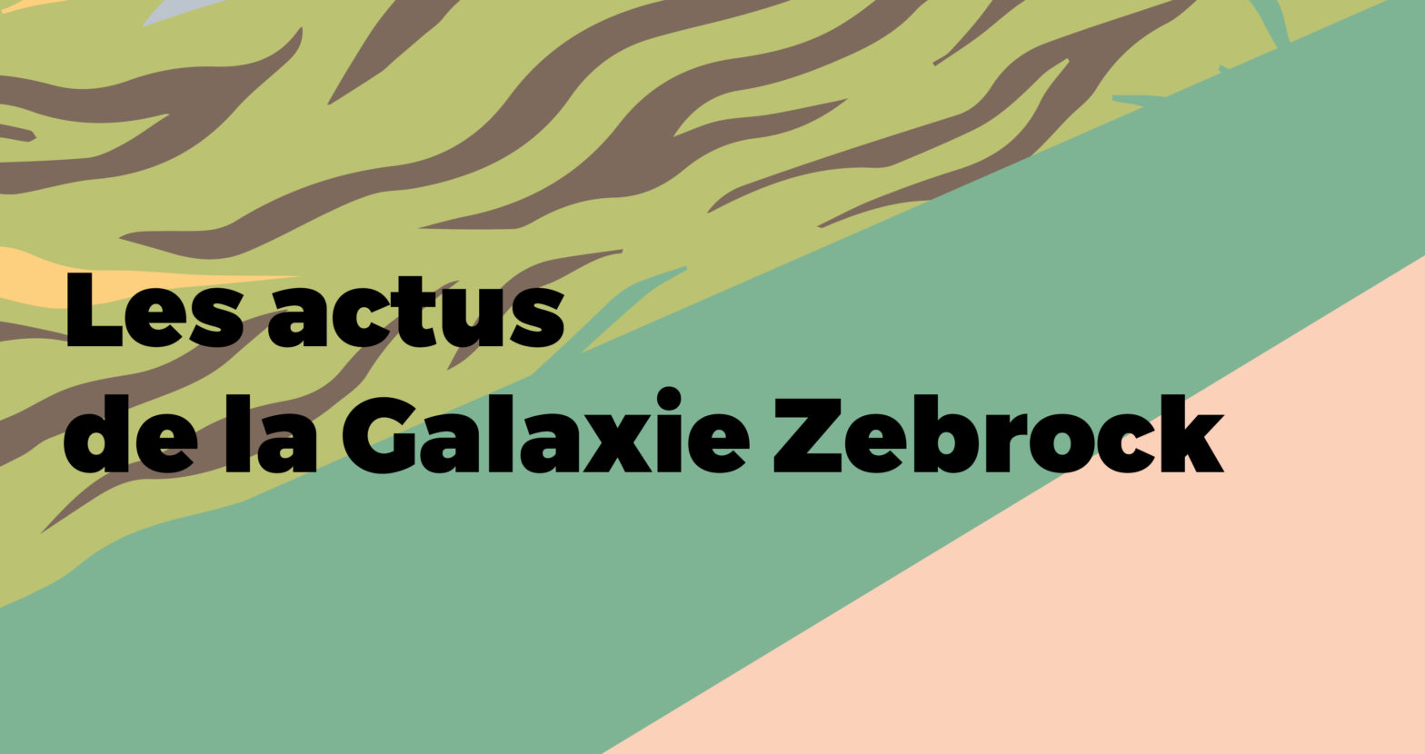 Du neuf dans la Galaxie Zebrock – Novembre 2023